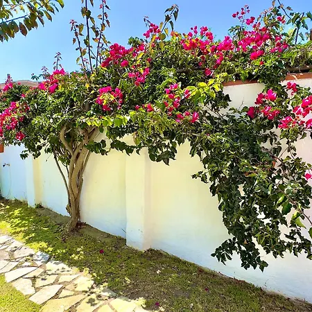 Ferienhaus Casa Do Candeeiro Óbidos
