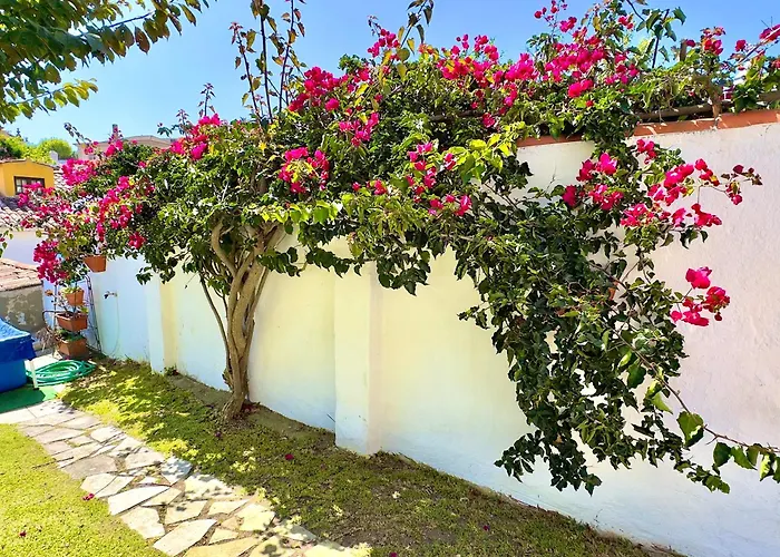 Casa vacanze Casa Do Candeeiro Óbidos